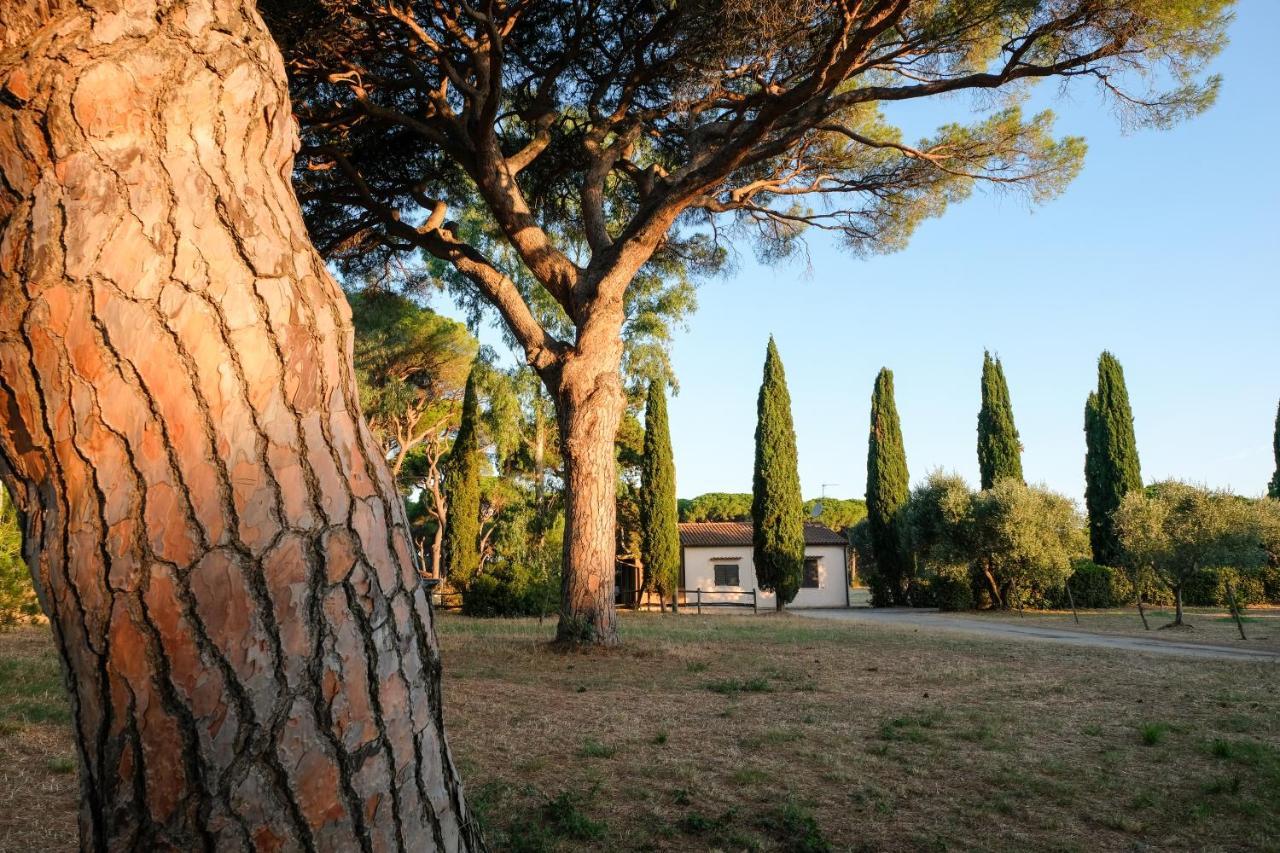 Residence La Canova II Grosseto Eksteriør billede