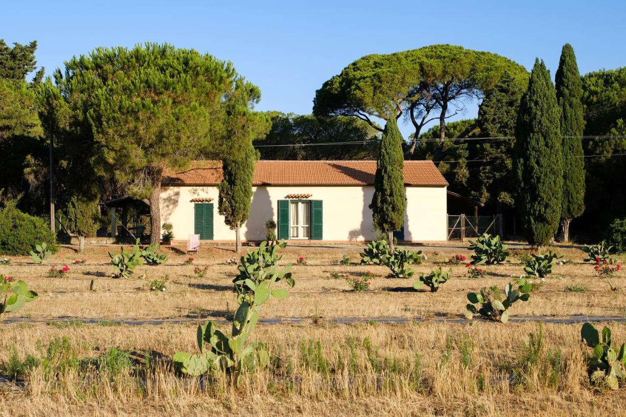 Residence La Canova II Grosseto Eksteriør billede