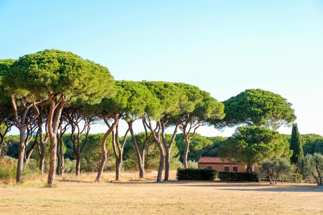 Residence La Canova II Grosseto Eksteriør billede