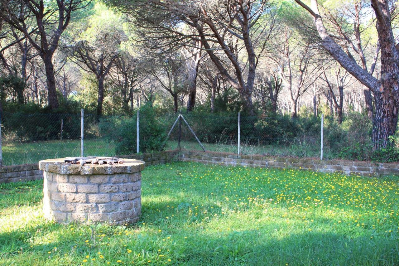 Residence La Canova II Grosseto Eksteriør billede