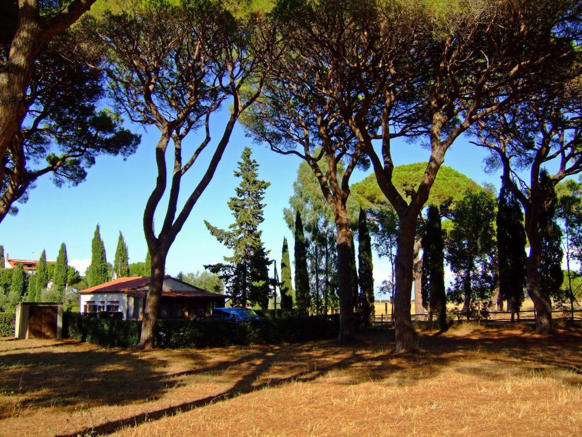 Residence La Canova II Grosseto Eksteriør billede